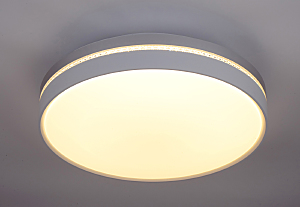 Светильник потолочный Escada 10224 10224/S LED